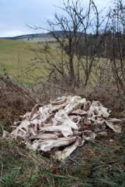 Ekel-Fund in Lauter: Spaziergänger entdeckt Tierkadaver - Unzählige Gebeine und Tierschädel - entdeckt an einem Feldweg an der B 101 bei Lauter-Bernsbach