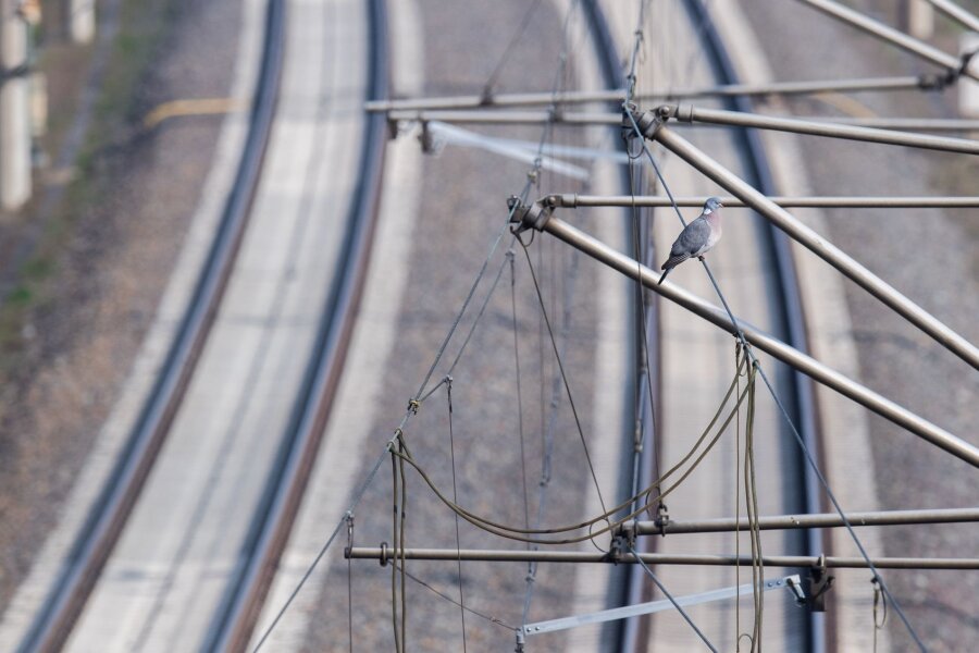 Elektrifizierung von Bahnstrecken kommt nicht voran - Bei der Elektrifizierung von Bahnstrecken gibt es Defizite.