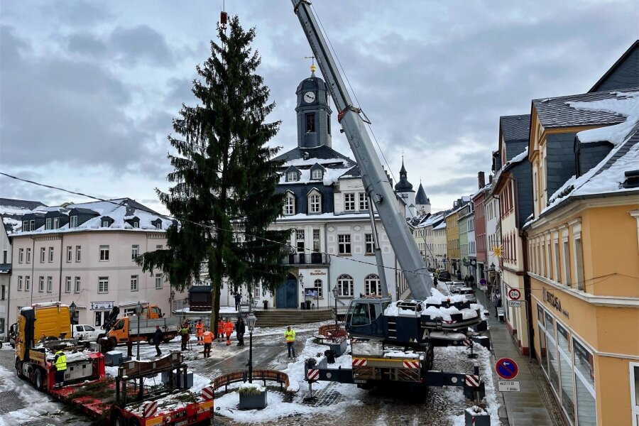 Elf Tage vor dem Schwarzenberger Weihnachtsmarkt: 15 Meter hohe Fichte schwebt auf Markt ein - Der Weihnachtsbaum schwebt auf dem Markt in Schwarzenberg ein. Am Mittwoch soll die Fichte ihren leuchtenden Schmuck erhalten.