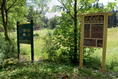 Ellefelder Holzerlebnisweg wird am kommenden Freitag offiziell eingeweiht - Am neuen Holzerlebnisweg in Ellefeld stehen auch dieses Insektenhotel und eine Info-Tafel.