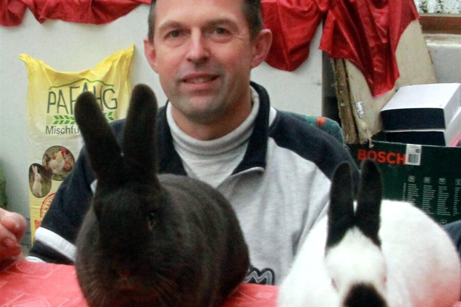 Elsterberg erlebt am Wochenende die nächste Rassekaninchenausstellung - Mario Großberger hofft auf eine erfolgreiche Kaninchenschau.