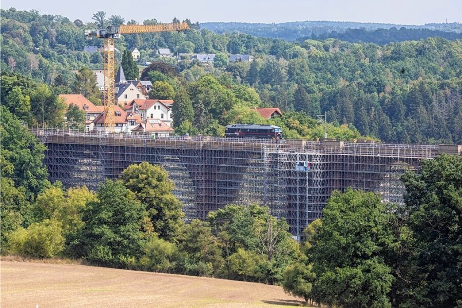 Die eingerüstete Elstertalbrücke wird sich vorerst in dieser Optik präsentieren. Zur Sanierung des denkmalgeschützten Bauwerks wurden nach Angaben der Deutschen Bahn 2500 Tonnen Gerüstmaterial verbaut.
