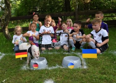 EM-Orakel: Auer Micro-Schweinchen Joe tippt am Sonntag auf Deutschland - Den ersten Tipp hat Joe abgegeben - beim Spiel Deutschland gegen die Ukraine, sieht das Schweinchen Deutschland als Sieger.