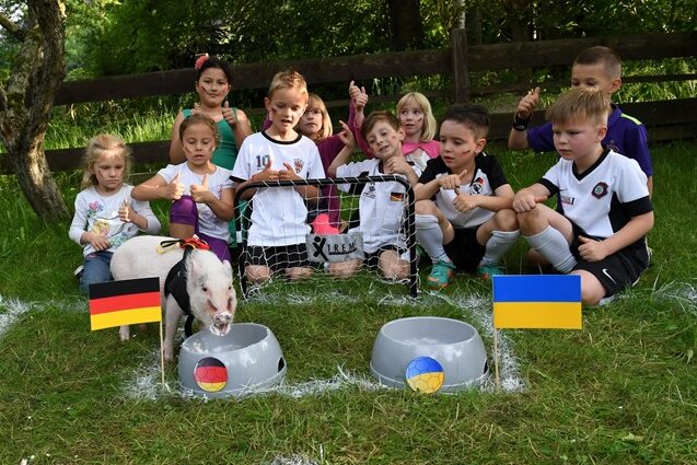 EM-Orakel: Auer Micro-Schweinchen Joe tippt am Sonntag auf Deutschland - Den ersten Tipp hat Joe abgegeben - beim Spiel Deutschland gegen die Ukraine, sieht das Schweinchen Deutschland als Sieger.
