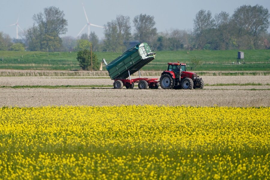 Endgültige Entscheidung zu EU-Lockerungen für Landwirte - Die Umweltauflagen für Landwirte sollen auf EU-Ebene gelockert werden - das ist nicht unumstritten.