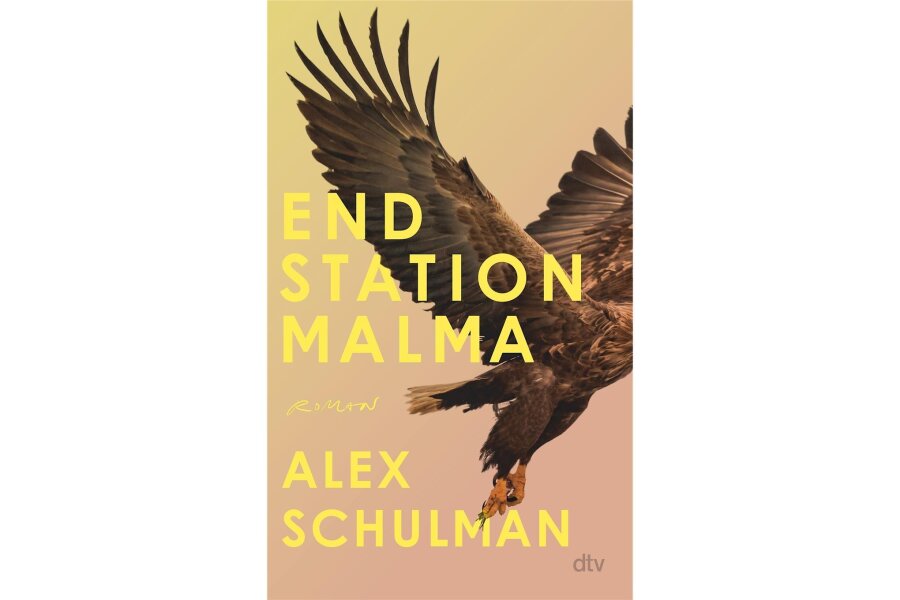 „Endstation Malma“ von Alex Schulman:  In einemZug vor und zurück durch die Zeit - 