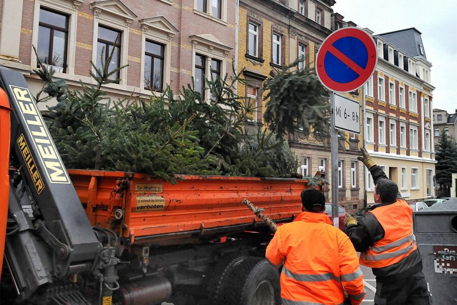Entsorgung der Weihnachtsbäume im Landkreis Zwickau beginnt am 8. Januar - Die Weihnachtsbaumentsorgung beginnt am 8. Januar.