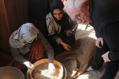Entwicklungshelfer aus Mittelsachsen: Politiker und Militär haben Kultur und Seele der Afghanen nie verstanden - Hauptsächlich Afghaninnen erfuhren im Projekt zur Nussproduktion, wie sie die Qualität der Nüsse prüfen können. Wolfram Fischer schaute zu.