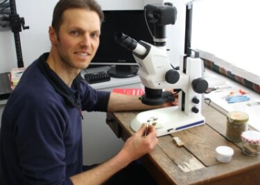 Er ist kleinen Krabbeltieren auf der Spur - Marcus Kanjar bestimmt am Mikroskop die Art. Das macht er häufig als Erstes, um zu wissen, womit er es genau zu tun hat. 