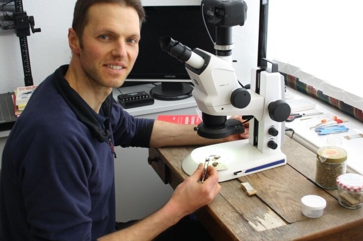 Er ist kleinen Krabbeltieren auf der Spur - Marcus Kanjar bestimmt am Mikroskop die Art. Das macht er häufig als Erstes, um zu wissen, womit er es genau zu tun hat. 