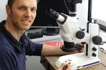 Er ist kleinen Krabblern auf der Spur - Marcus Kanjar bestimmt am Mikroskop die Schädlingsart. 