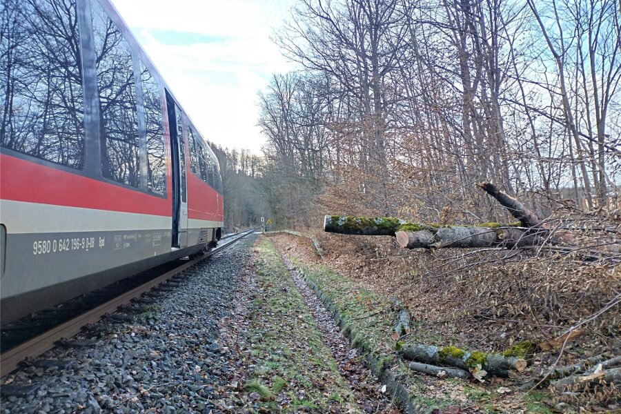 Erdmannsdorf: Beschädigter Triebwagen der Erzgebirgsbahn wird schnell repariert - Der von einem Baum seitlich getroffene Zug der Erzgebirgsbahn musste auf freier Strecke halten.