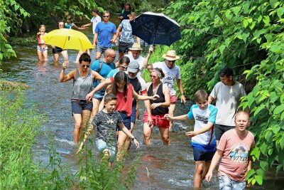 Erhöhter Wasserstand macht den Pleiße-Läufern nichts aus - 100 Leute waren am frühen Sonntagnachmittag im Flussbett der Pleiße unterwegs. 