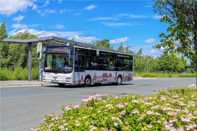 Erkrankung: Busse im Vogtland fallen aus - Aufgrund von Erkrankungen fallen am heutigen Freitag Busse im Göltzschtal aus. Betroffen sind einzelne Fahren der Plus-Bus-Linien 10 und 60 sowie die Takt-Bus-Linie 89. 