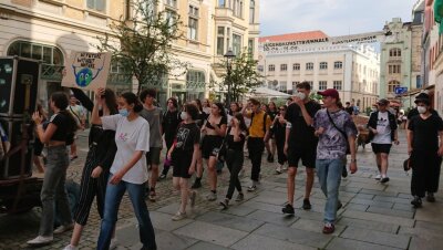 Erneut jugendliche Klima-Demo in Zwickau - 