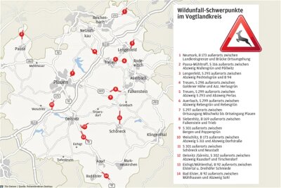 Erneut schwerer Wildunfall auf der B 173 vor den Toren Plauens - Der Vogtlandkreis verweist auf seinem Geoportal auf die Unfallschwerpunkte mit Wild. Die Schwerpunkte des Stadtgebietes Plauen, zu denen auch die Äußere Reichenbacher Straße zählt, sind nicht mit aufgeführt.