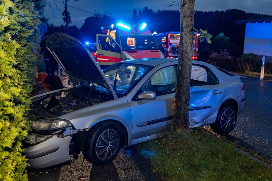 Erneut Unfall in Neustadt: 23-Jähriger kracht gegen einen Baum - Dienstagabend verlor ein 24-Jähriger auf regennasser Fahrbahn die Kontrolle und krachte gegen einen Baum.