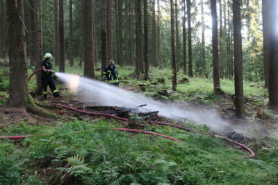 Erneute Brandstiftung in Eibenstocker Wald - schon sieben Brände in Serie - 