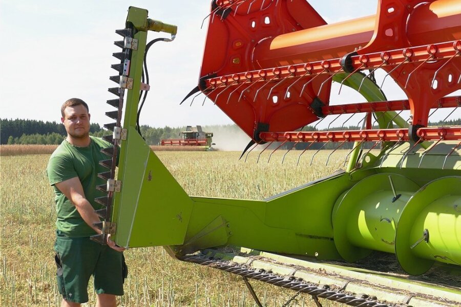 Ernteauftakt im Erzgebirge: Trockenheit spart Landwirten Kosten beim Einbringen des Getreides - René Haugk prüft das Rapstrennmesser des Mähdreschers. 