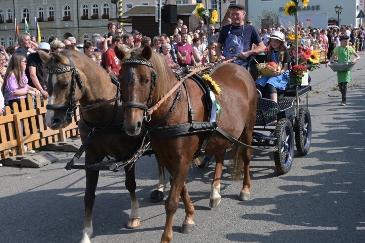 Zum Festumzug der Pferdesportvereine gab es in Zwönitz insgesamt 28 verschiedene Schaubilder zu bestaunen. 