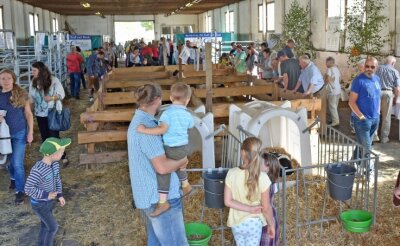 Erntedankfest in Altmittweida hängt am seidenen Faden - Erntedankfest 2019: Die Ausstellungshalle mit verschiedenen Nutztieren war stets gut besucht. 