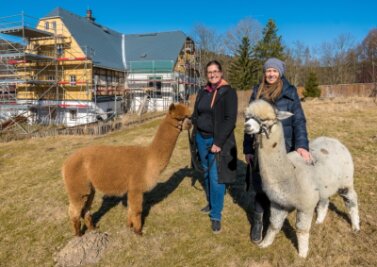 Erste Alpakas fühlen sich auf Begegnungshof schon heimisch - Anja Waldinger (l.) und Manuela Kehn mit zwei Alpaka-Hengsten vor dem im Umbau befindlichen Gebäude im Olbernhauer Ortsteil Hirschberg. 