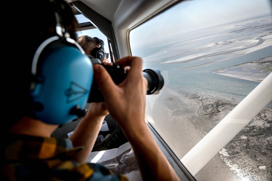 Erste Flüge für Seehund-Zählungen im Wattenmeer starten - Aus der Luft zählen und fotografieren Experten Alt- und Jungtiere, die sich bei Ebbe ausruhten.