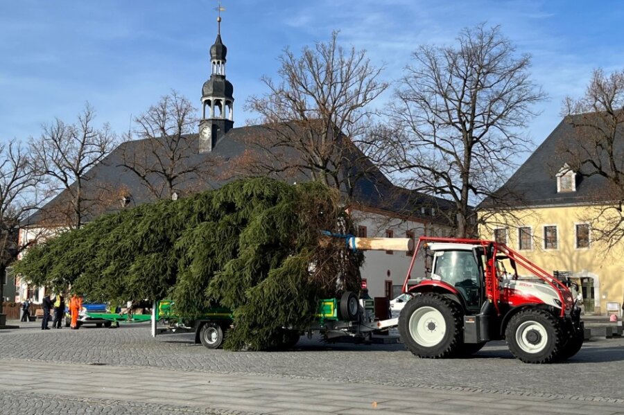 Erste Stadt im Erzgebirge bekommt ihren Weihnachtsbaum - 