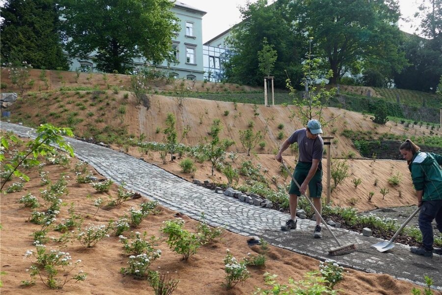 Erster Bauabschnitt im Zschopauer Seminargarten abgeschlossen - Frank Schreiter und Klara Kluge füllen die Fugen zwischen den Pflastersteinen des neuen Weges, der durch den Seminargarten führt. 