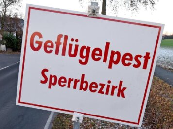 Erster Fall von Vogelgrippe im Landkreis Mittelsachsen - 