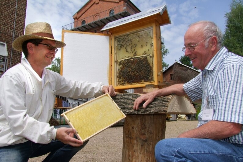 Bienenschaukasten