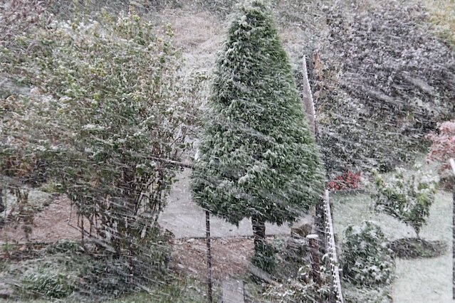 Erster Schneefall im Gebirge - Dauerregen in niederen Lagen - Auch in Schönheide gibt der Winter seit heute Morgen ein erstes Gastspiel.