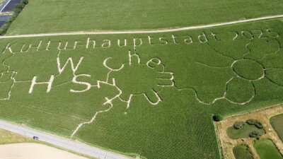 Erstes Maislabyrinth in Wittgensdorf eröffnet: Bitte nicht kosten - 