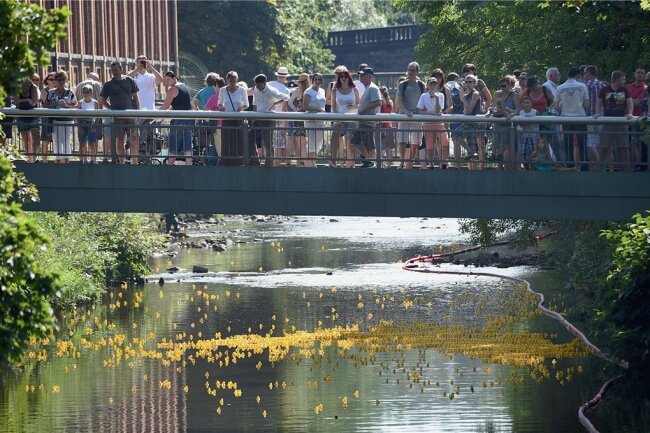 Das Entenrennen auf der Chemnitz war über viele Jahre hinweg einer der Höhepunkte des Stadtfestes. Nun soll es in diesem Jahr erstmals als eigenständige Aktion veranstaltet werden.