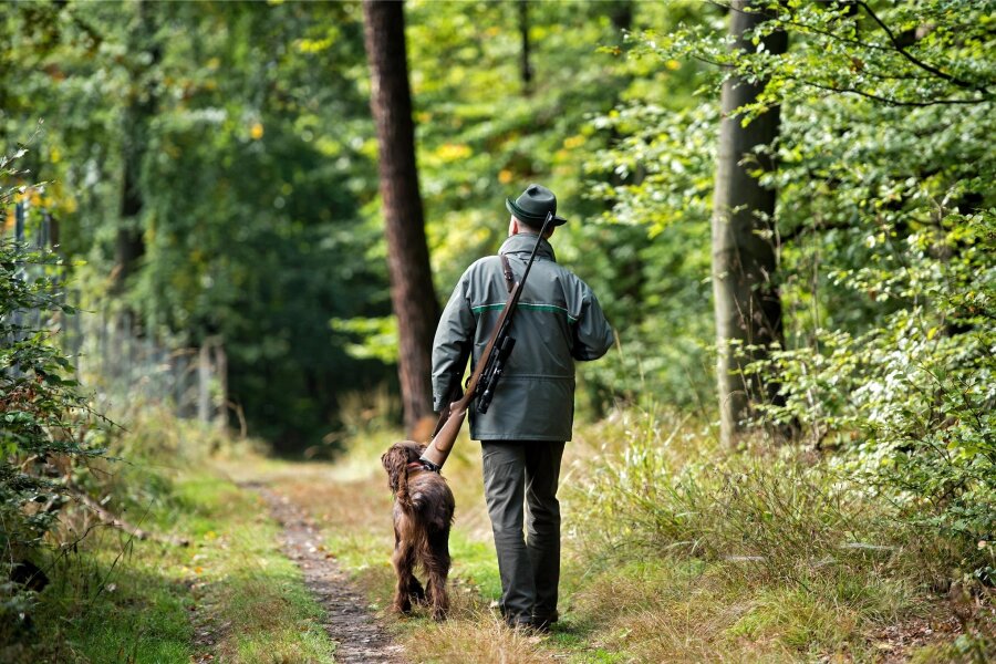 Erzgebirge: Forstbehörde begutachtet Wälder mit gemeinschaftlichen Jagdbezirken - Die Forstbehörde begutachtet bis Oktober im Erzgebirge Wälder mit gemeinschaftlichen Jagdbezirken.