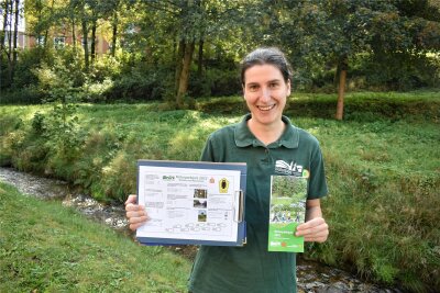 Erzgebirge: Naturparkquiz 2023 „Wandern und Naturschutz“ geht in heiße Phase - Fachberaterin Christina Melzer freut sich über zahlreiche Einsendungen der 4. Klassen.