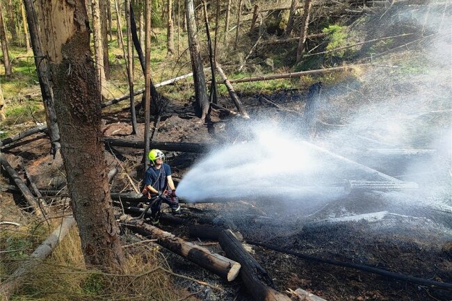 Die erzgebirgischen Katastrophenschutzeinheiten haben am Mittwoch ihren Einsatz in den Waldbrandgebieten des Landkreises Sächsische Schweiz-Osterzgebirge nach knapp zwei Wochen beendet.