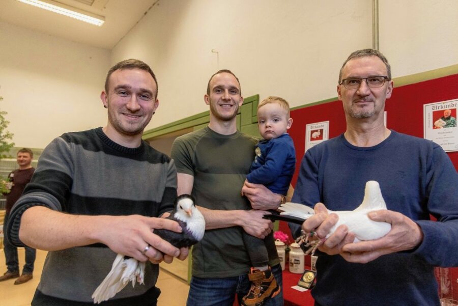 Erzgebirgische Züchter müssen ihre Hühner zu Hause lassen - Uwe Hünel (rechts) züchtet gemeinsam mit seinen Söhnen Tom (links) und Maik in Arnsfeld Tauben. Die besten wurden zur Schau am Wochenende gezeigt. Auch Enkel Theodor schaute vorbei.