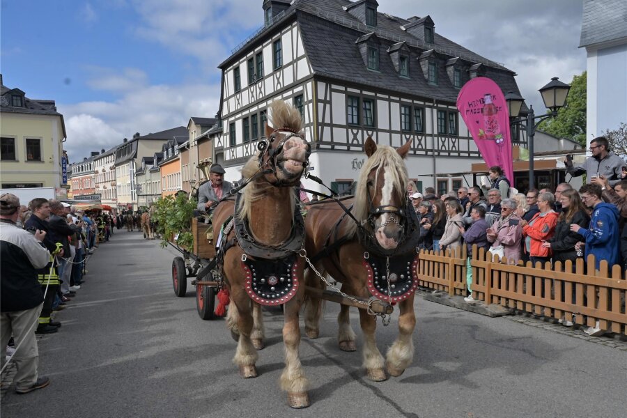 Erzgebirgischer Pferdetag und Erntedankfest ziehen Tausende Besucher an: So haben die Zwönitzer gefeiert - Einer der Höhepunkte beim Erzgebirgischen Pferdetag ist der Festumzug gewesen.