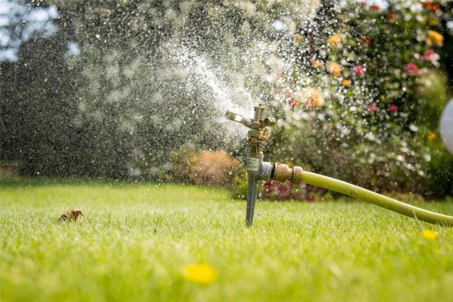 Erzgebirgskreis schränkt Wasserentnahme wegen Trockenheit stark ein - und bittet um Autowäsche-Verzicht - Ein Rasensprenger bewässert einen Garten. Nun erlässt der Erzgebirgskreis eine Allgemeinverfügung, die die Wasserentnahme einschränken soll.