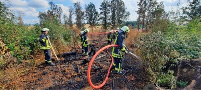 Es brannte schon zum dritten Mal: Nach Brandstiftung im Wald bei Oberbobritzsch sucht Polizei Zeugen - Zu einem Brand ist es am Dienstagnachmittag in einem Waldstück zwischen Oberbobritzsch und Pretzschendorf gekommen. 