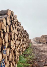 EU-Mittel: Verein begibt sich auf den Holzweg - Der Rohstoff Holz ist im Westerzgebirge ein Schwerpunktthema in der Leader-Förderung zur Stärkung des ländlichen Raums. 