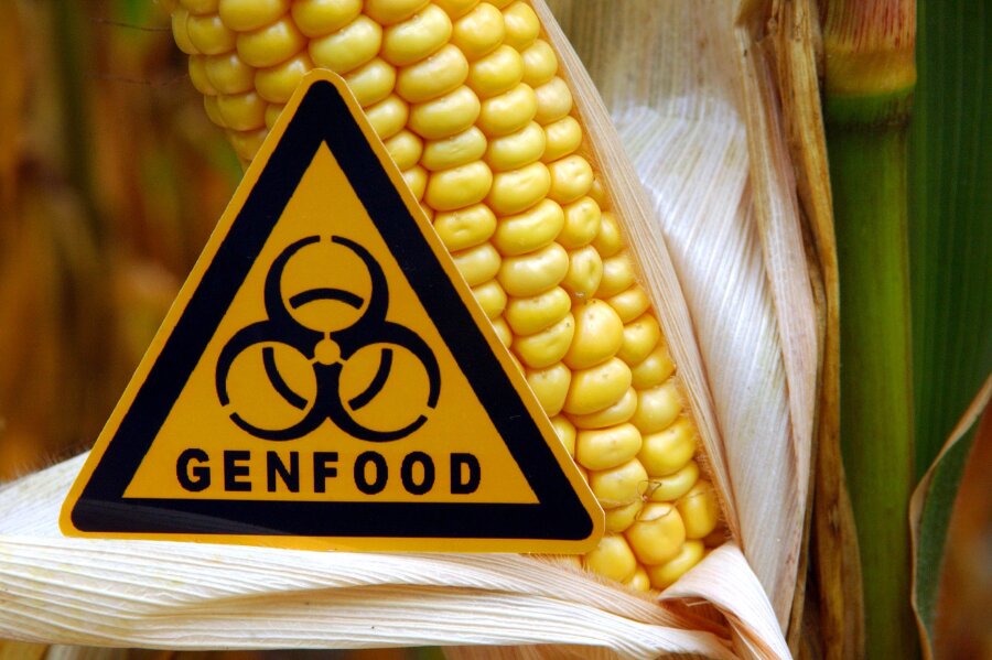 EuGH: Kennzeichnungspflicht für Lebensmittel, die mit neuen Verfahren gentechnisch verändert wurden - 