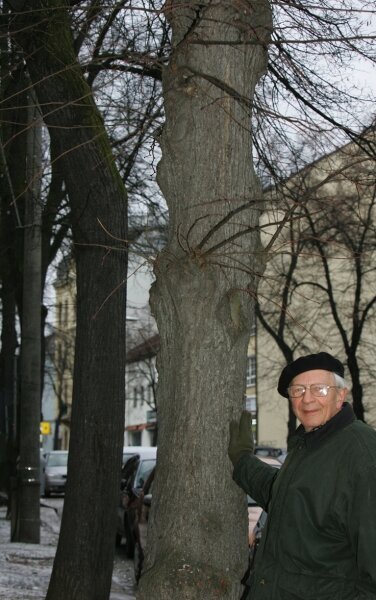 Ex-Naturschutzbeauftragter beklagt Gleichgültigkeit gegenüber Bäumen - 
              <p class="artikelinhalt">Ein Instanz in Umweltbelangen: Albrecht Demmig, ehemaliger Naturschutzbeauftragter von Plauen. </p>
            