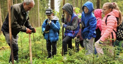 Expedition in den Wald - 