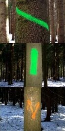 Markierungen an Waldbäumen