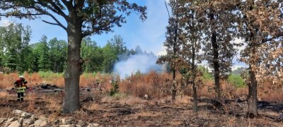 Fachmann bestätigt Brandstiftung im Wald bei Oberbobritzsch - Zu einem Brand ist es am Dienstagnachmittag in einem Waldstück zwischen Oberbobritzsch und Pretzschendorf gekommen