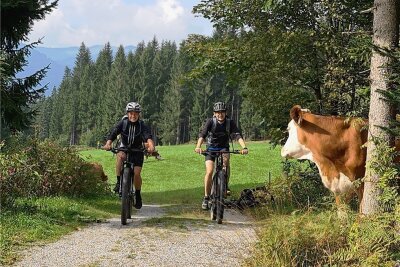 Fahrrad-Urlaub in Österreich: Und die Kuh schaut zu - Die Kuh ist den Anblick vermutlich schon gewöhnt: Den KAT Bike gibt es seit drei Jahren. 