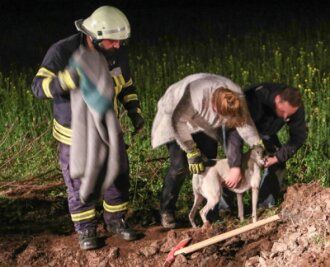 Falkenau: Feuerwehr rettet Hund aus Wasserrohr - 
