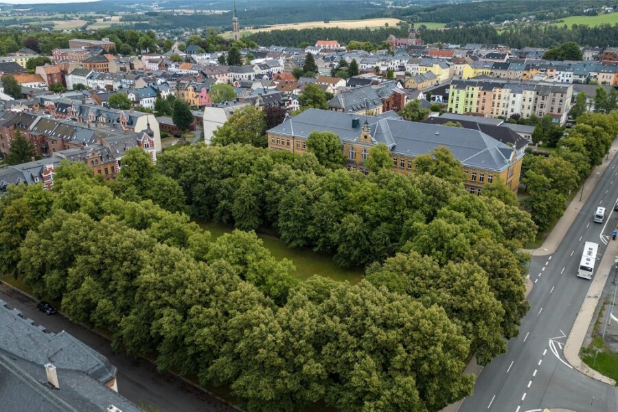 Falkenstein: Bäume auf dem Trützschlerplatz werden gepflegt - Aus der Vogelperspektive ist der Baumbestand auf dem Trützschlerplatz ein Dickicht.